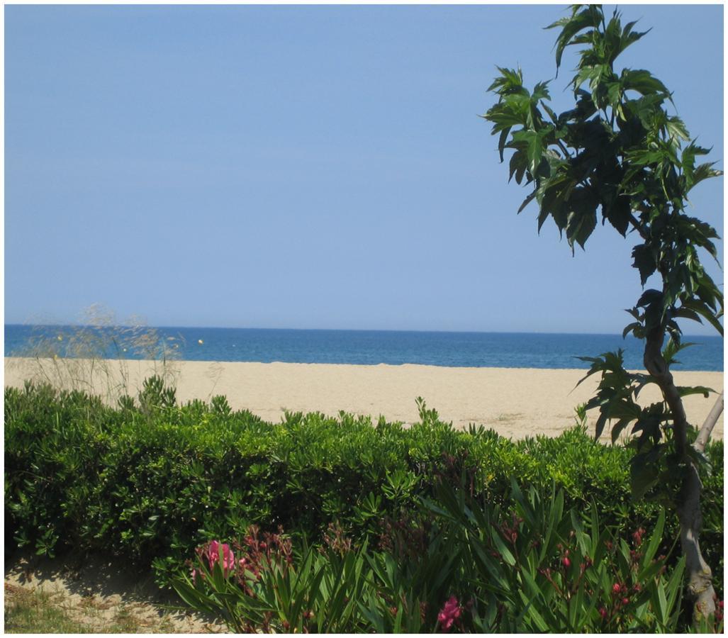 Locations Meublées Plage des Pins Argelès-sur-Mer Esterno foto
